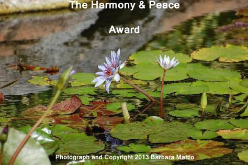Harmony & Peace Award