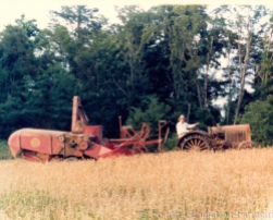 Grandaddy Tractor 2